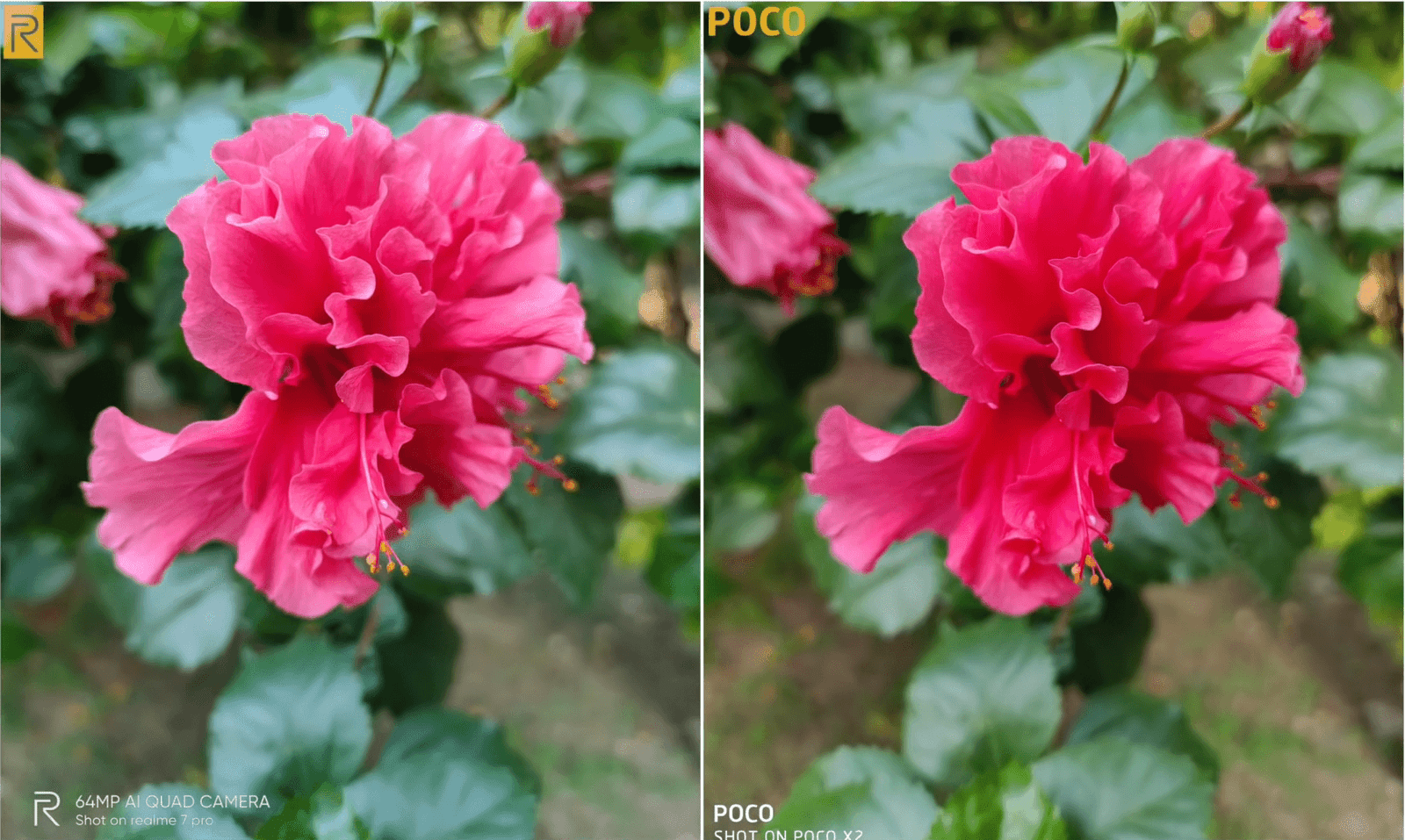 Realme 7 Pro vs Poco X2 Camera result
