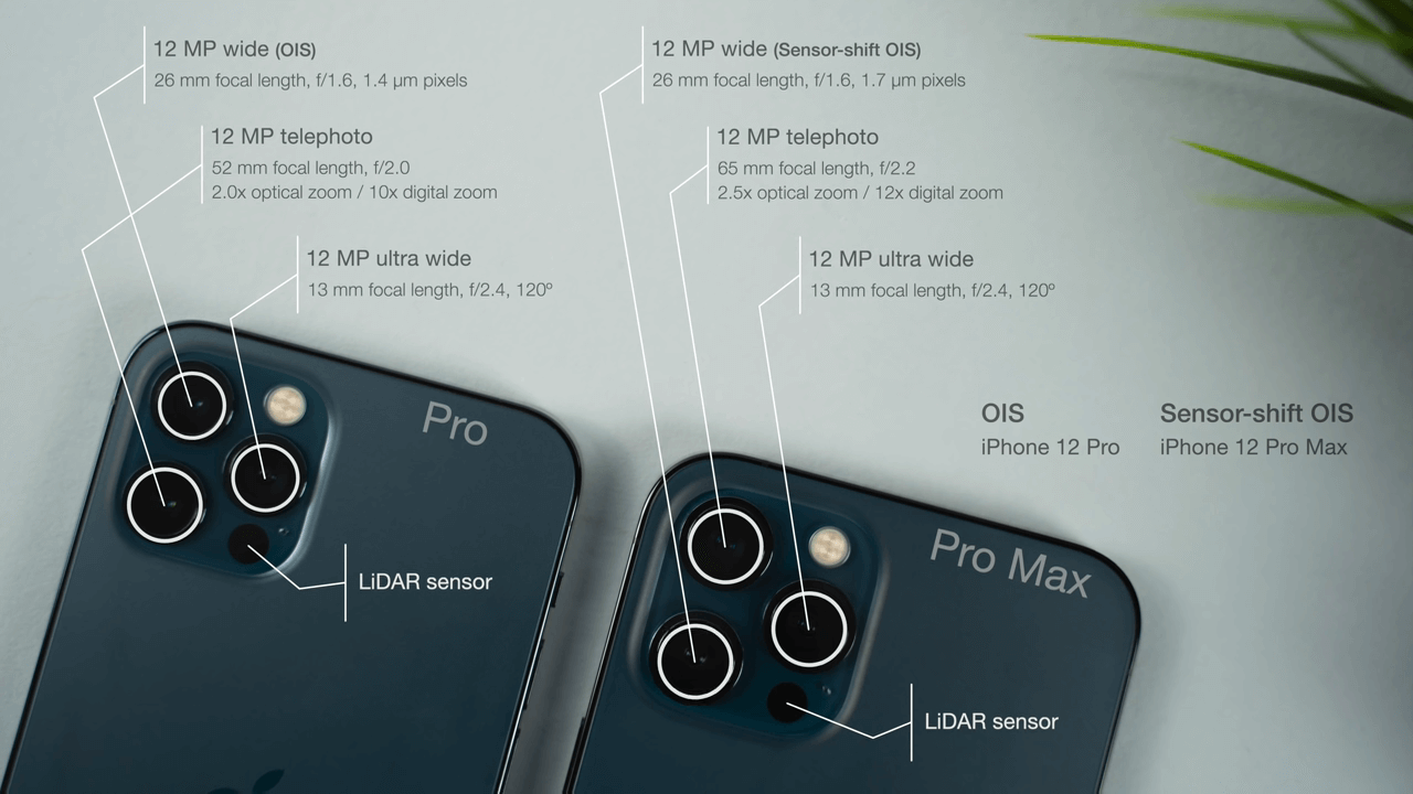 iPhone 12 Pro vs 12 Pro Max Camera Quality