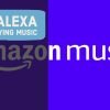 How To Fix Alexa Not Playing Music From The Amazon Music