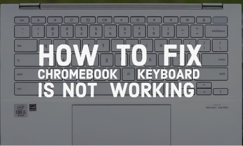 How To Fix Chromebook Keyboard Is Not Working