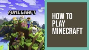 How To Play Minecraft: A Beginner’s Guide Of Basic Controls