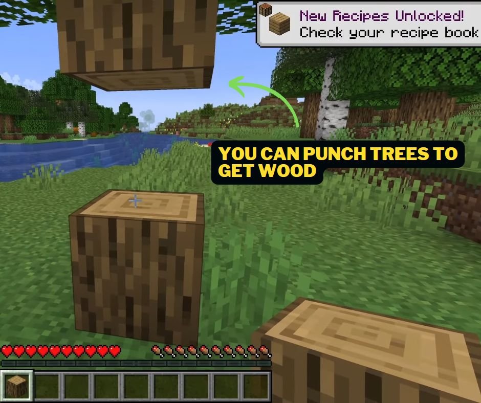 You can punch trees to get wood