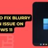 How to Fix Blurry Screen Issue on Windows 11